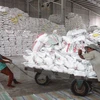 VN’s rice export price hits 3-year high