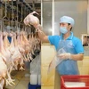 VN seeks to boost livestock product exports