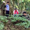 Quang Nam hosts first Ngoc Linh Ginseng Festival 