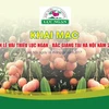 Luc Ngan lychee week opens in Hanoi