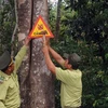 Sustainable forests project launched