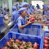 Fruit, vegetable exports grow strongly, exporters still worry