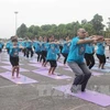 Mass yoga demonstration attracts crowds in Vinh Phuc
