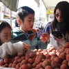 Vietnam earns 1.7 billion USD from vegetable, fruit exports