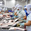 Seafood processing fuels export in Tien Giang