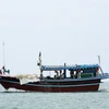 Malaysia applies severe measures for illegal foreign fishermen