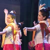 Folk music, fashion show in celebration of Vietnam-Laos ties