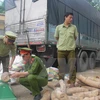 Thanh Hoa seizes nearly 2 tonnes of suspected ivory
