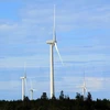  Experts: Vietnam has large wind power potential