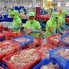 Vietnamese tra fish “stranded” in US 