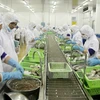 Ca Mau moves to expand shrimp export market 