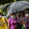 Bird flu, swine flu break out in Myanmar