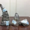 Tay Ninh: Three people detained for smuggling rhino horn
