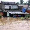 Seven Vietnamese die in flash floods, landslides in China