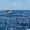 FM spokesperson: Vietnam opposes use of force against fishermen 