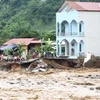 Prompt actions requested to deal with flood aftermath