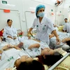 Hanoi works to minimize dengue fatalities