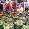 Forum promotes vegetables, fruits trade to China 