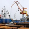 Vietnam’s exports to Algeria continue to grow