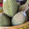 Malaysia to hold durian festival in China