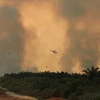 Indonesia works to end forest fires