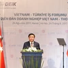 Deputy PM: trade-economic cooperation pillar of Vietnam-Turkey ties