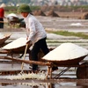 Salt farmers struggle with weak crops