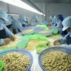Cashew sector may miss export target