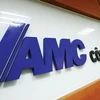 VAMC needs more capital to settle bad debts
