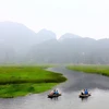 Van Long Lagoon a must-see destination in Ninh Binh