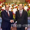 Vietnamese, Egyptian Presidents hold talks