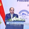 Vietnamese, Egyptian firms explore cooperation opportunities