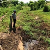 Irrigation channel unused amidst drought