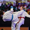 Vietnamese athlete wins gold at world karate league