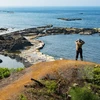 Ly Son island expected to become geomorphological tourism site