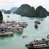 Ha Long attractive to real estate, tourism firms