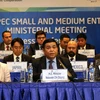 APEC ministers vow to foster SME development