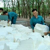 Vietnam’s top rubber firm valued at 177.8 million USD 
