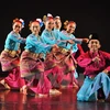International dance festival wraps up in Ninh Binh