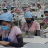 Cotton Day connects Vietnam, US firms