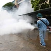 Hanoi: 384 dengue outbreaks remain