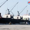 Ha Tinh: Work begins on 2.1 trillion VND Phoenix wharfs 