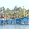 Quang Nam to spend 5 million USD upgrading fishing port