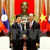 President: Vietnam gives top priority to boosting ties with Laos