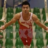 Skill of Vietnamese gymnast recognised by int’l federation 