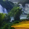 Festival in honour of Vietnam’s widest waterfall