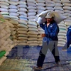 Cambodia exports over 400,000 tonnes of rice in nine months