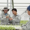 Hi-tech farms offer a vision of the future, today