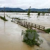 Flood-hit Ha Tinh, Son La provinces receive rice support