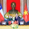Vietnam, Chile seek stronger comprehensive partnership